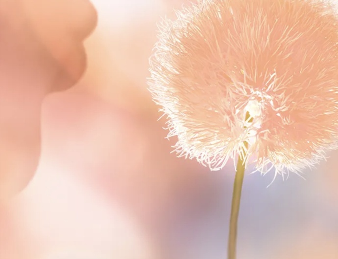 Peach Fuzz Pantone